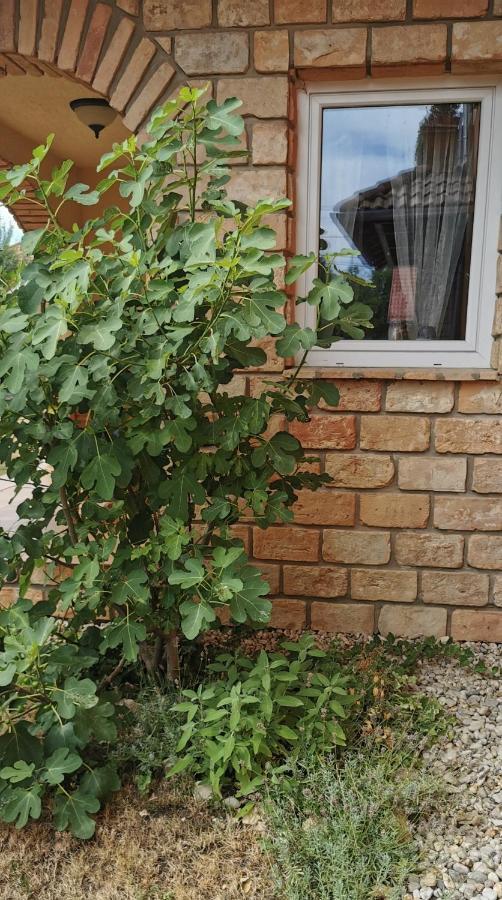 Mediterrania Apartment Keszthely Eksteriør billede